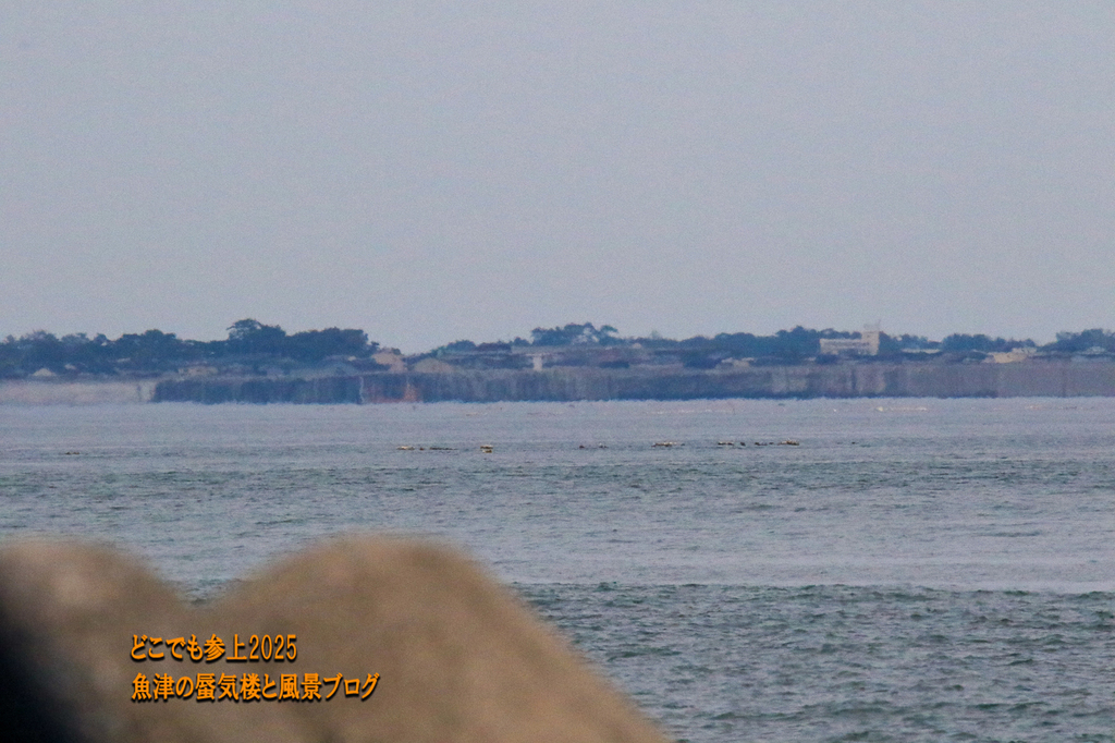 474A0968.jpg