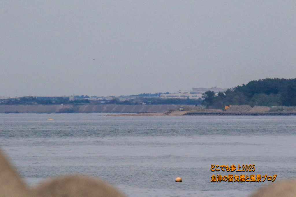 474A0969.jpg