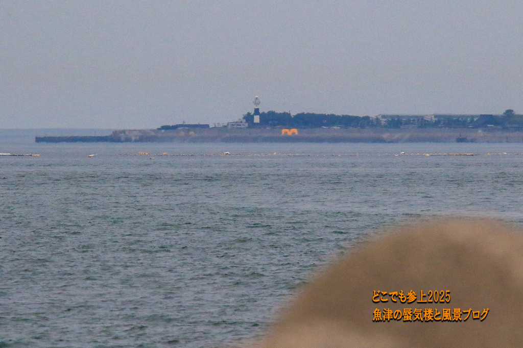 474A0974.jpg