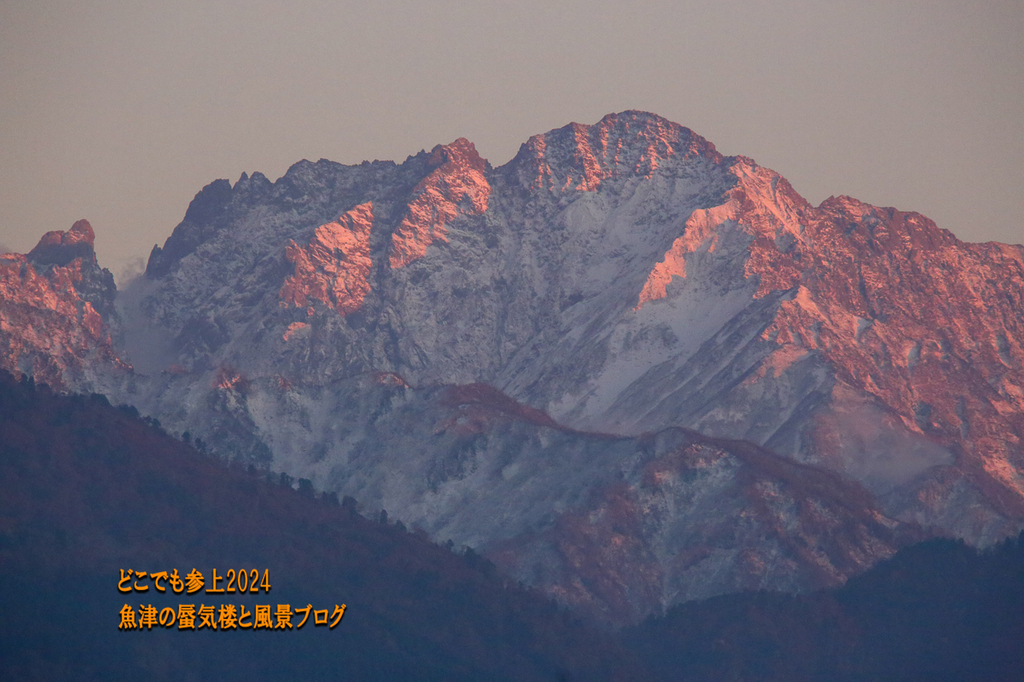 4U8A4589.jpg