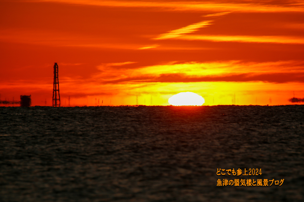 4U8A5114.jpg
