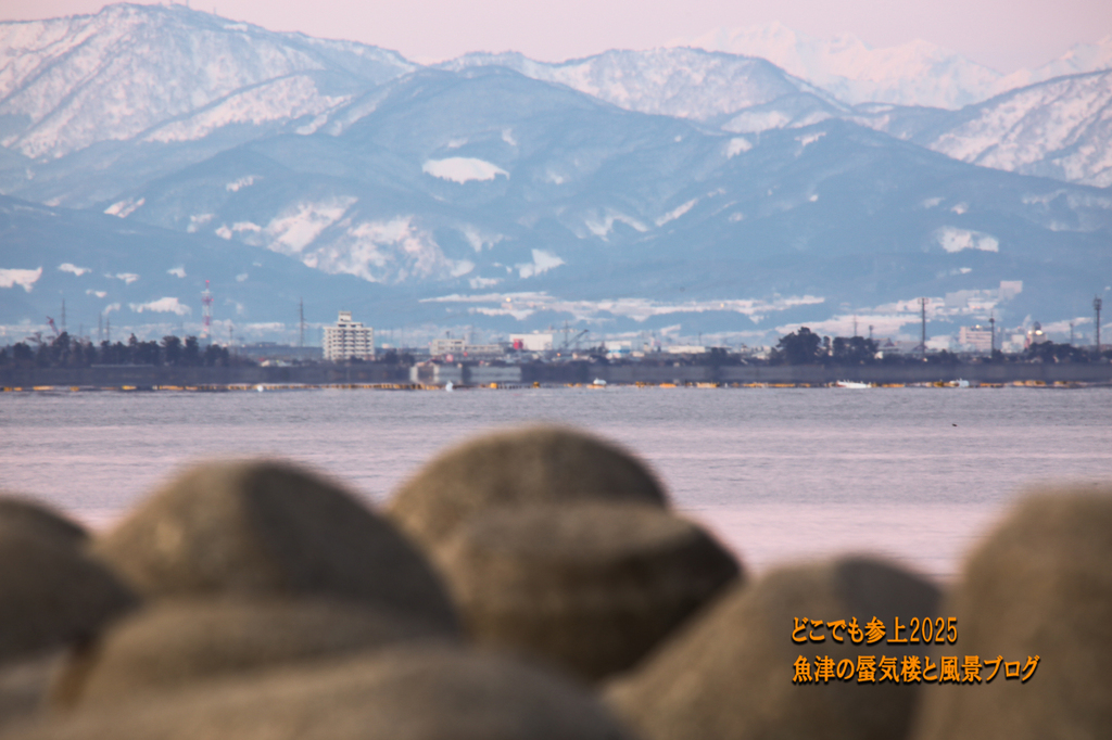4U8A5433.jpg