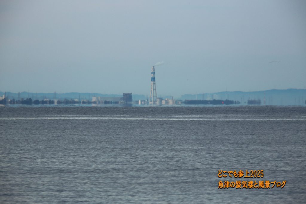 4U8A5445.jpg