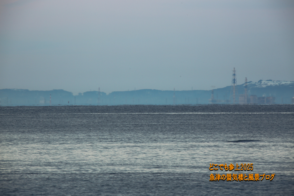4U8A5453.jpg