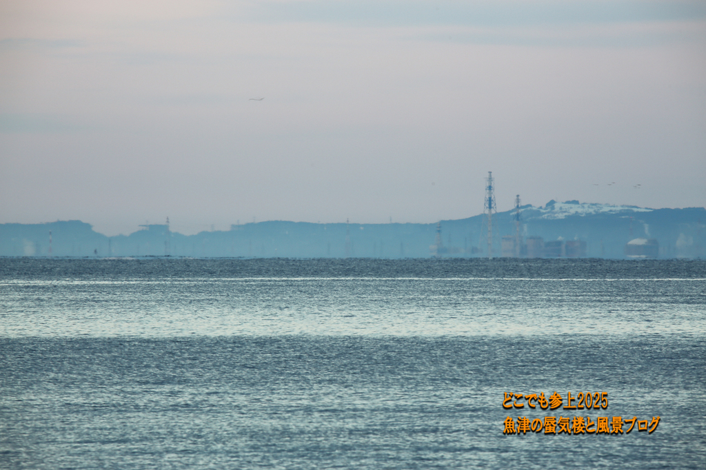 4U8A5497.jpg
