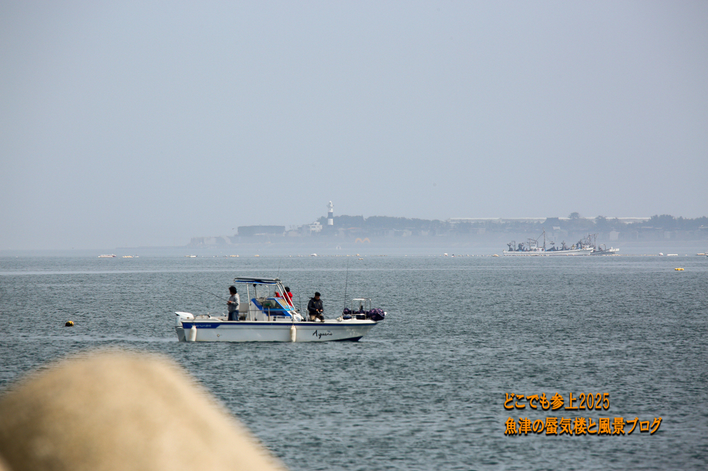 4U8A7554.jpg