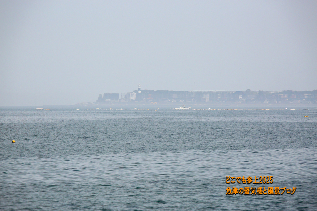 4U8A7658.jpg