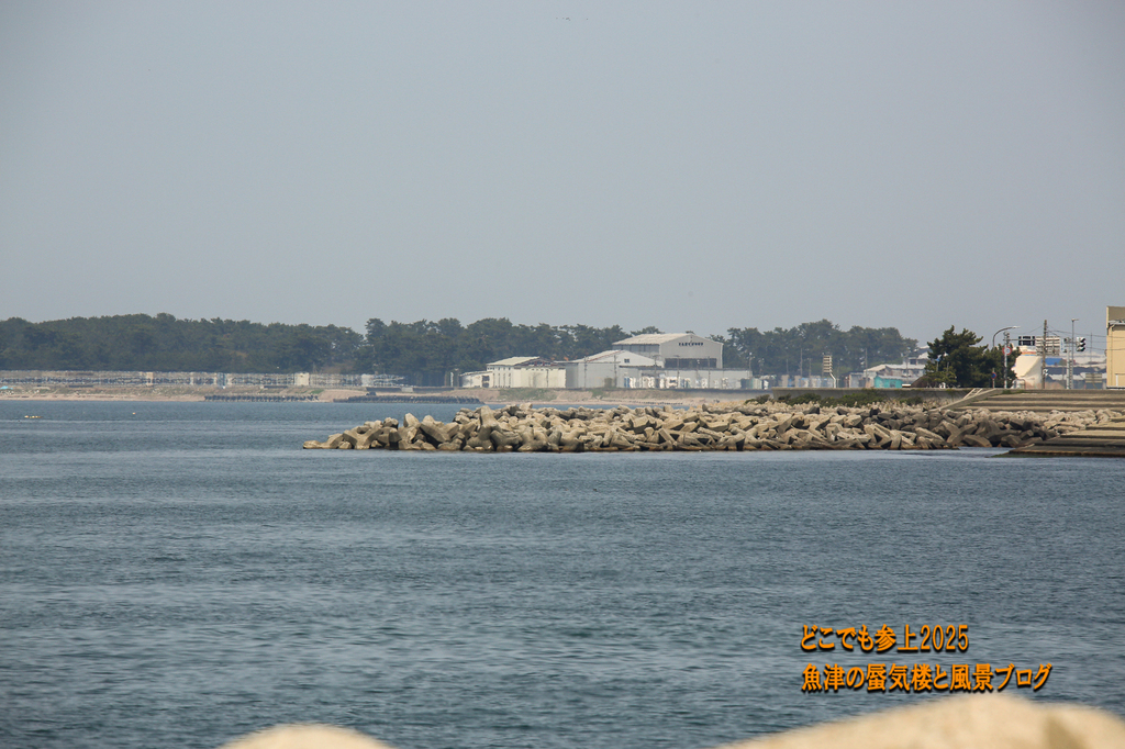 4U8A7904.jpg