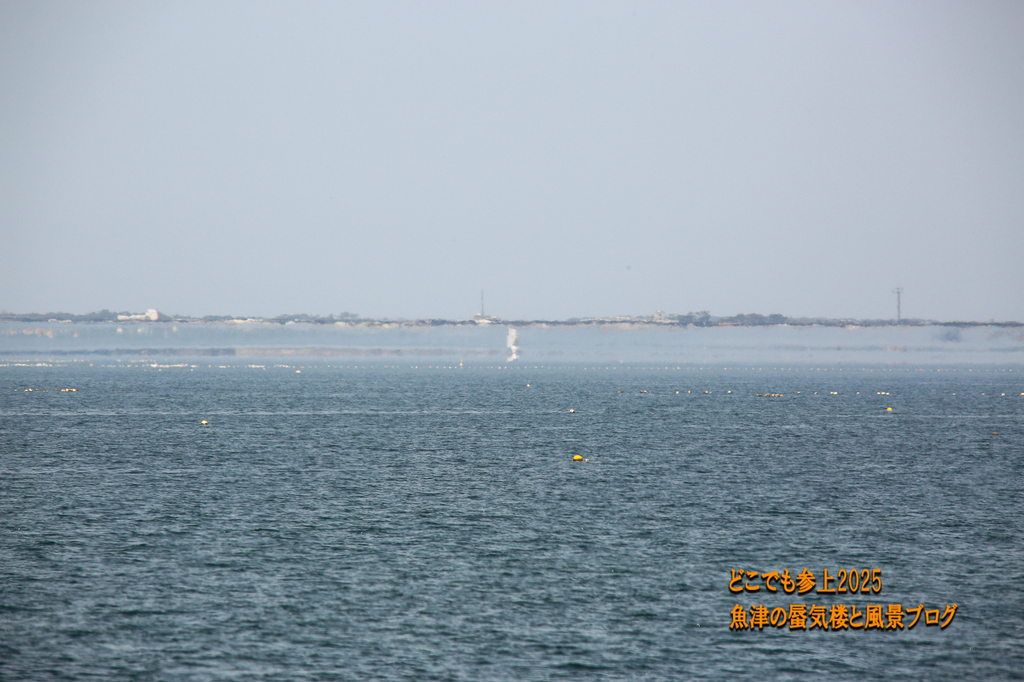 4U8A7957.jpg
