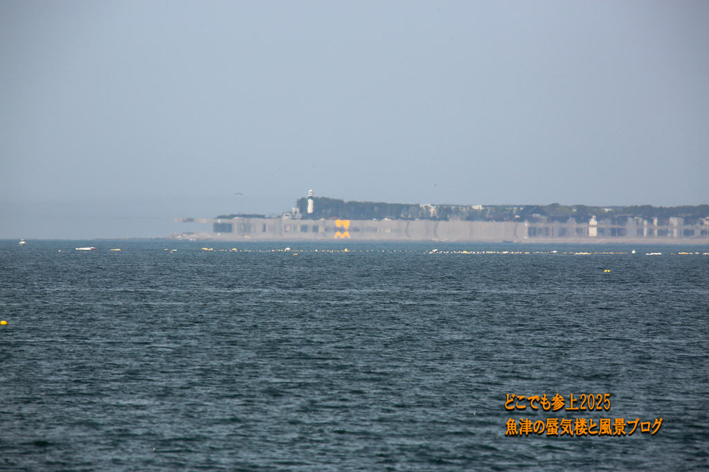 4U8A8020.jpg