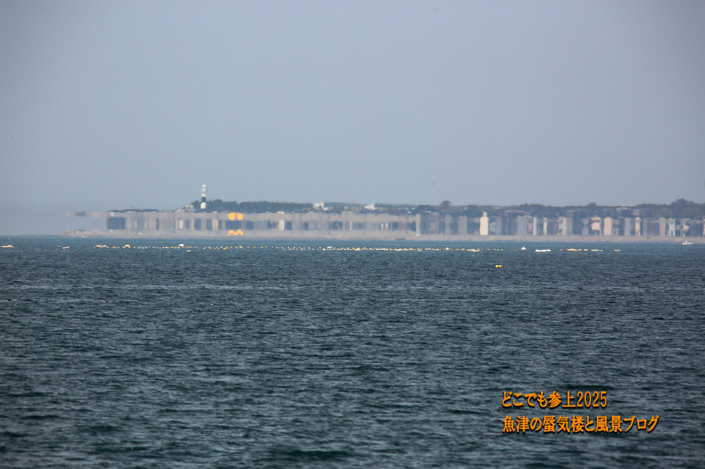 4U8A8029.jpg