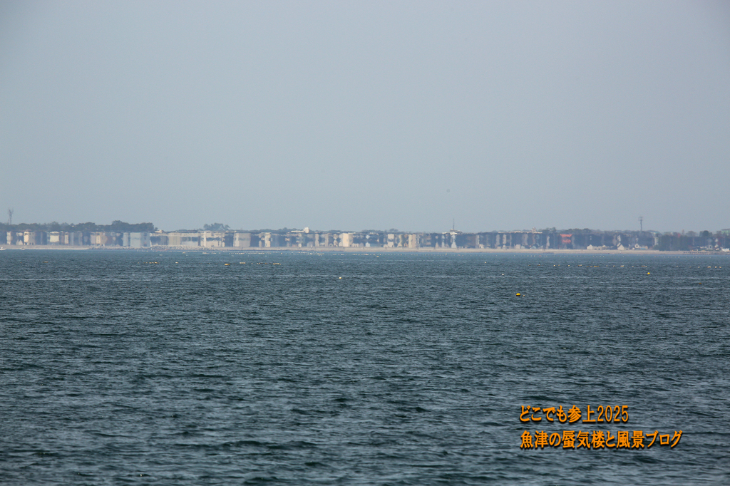 4U8A8040.jpg