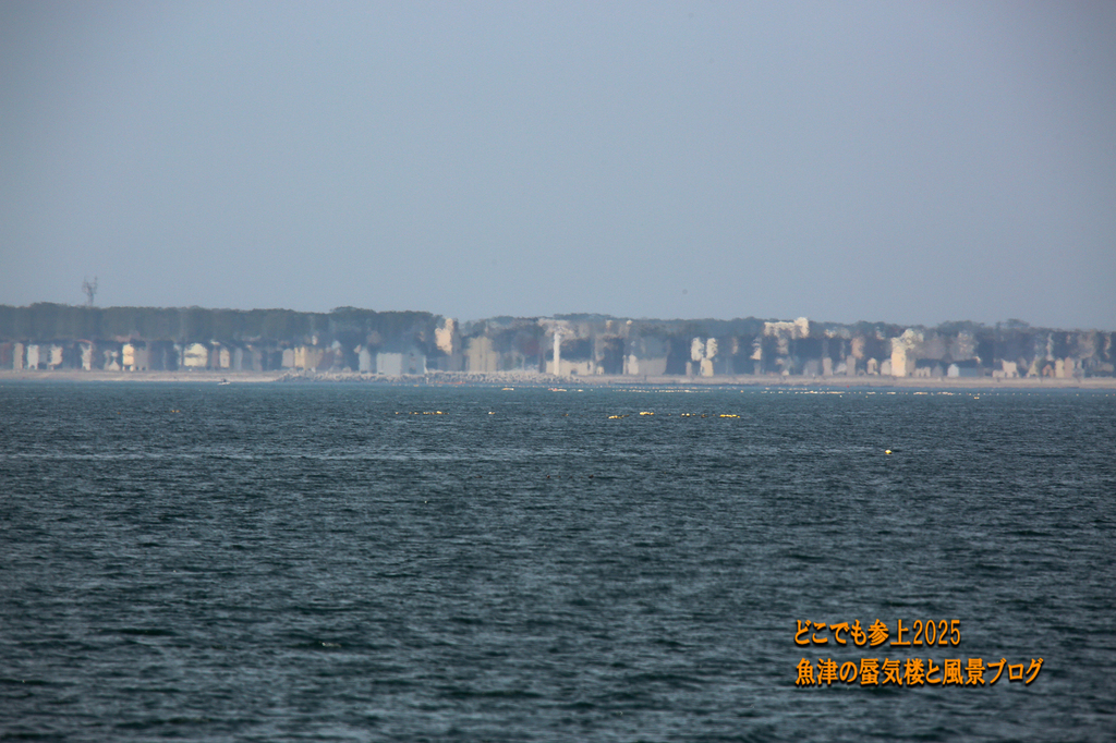 4U8A8056.jpg