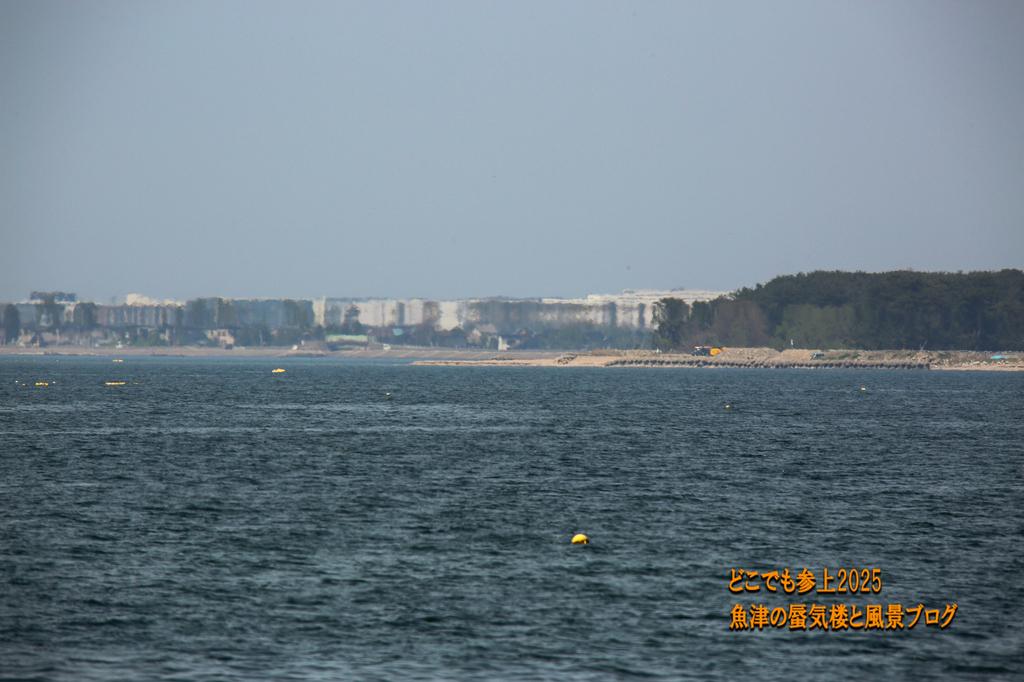 4U8A8062.jpg
