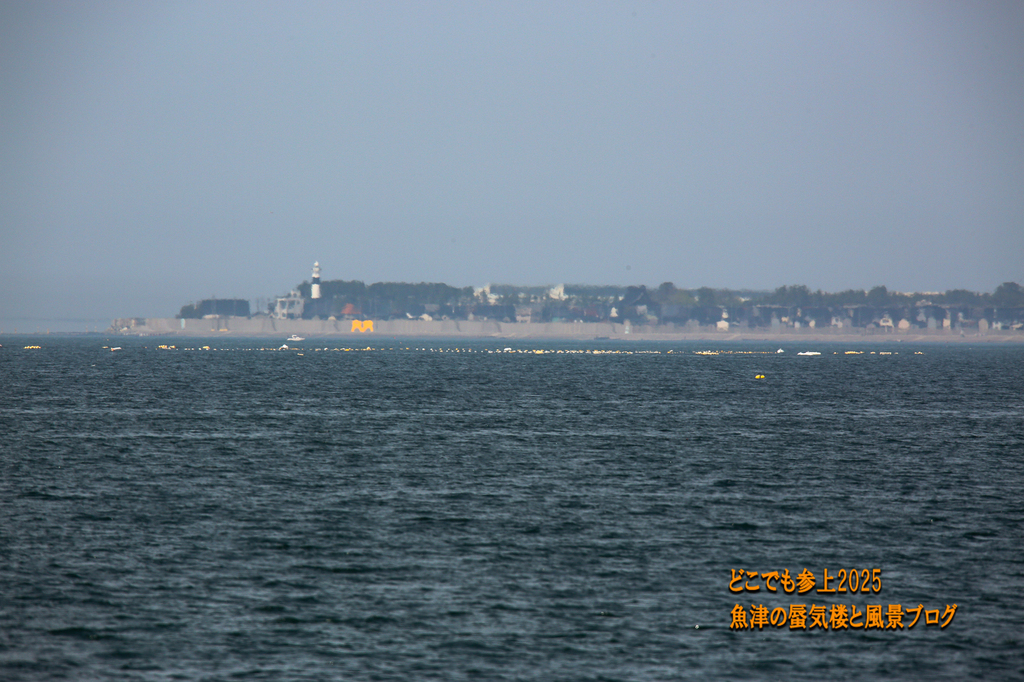 4U8A8073.jpg