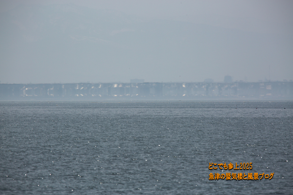 4U8A8076.jpg