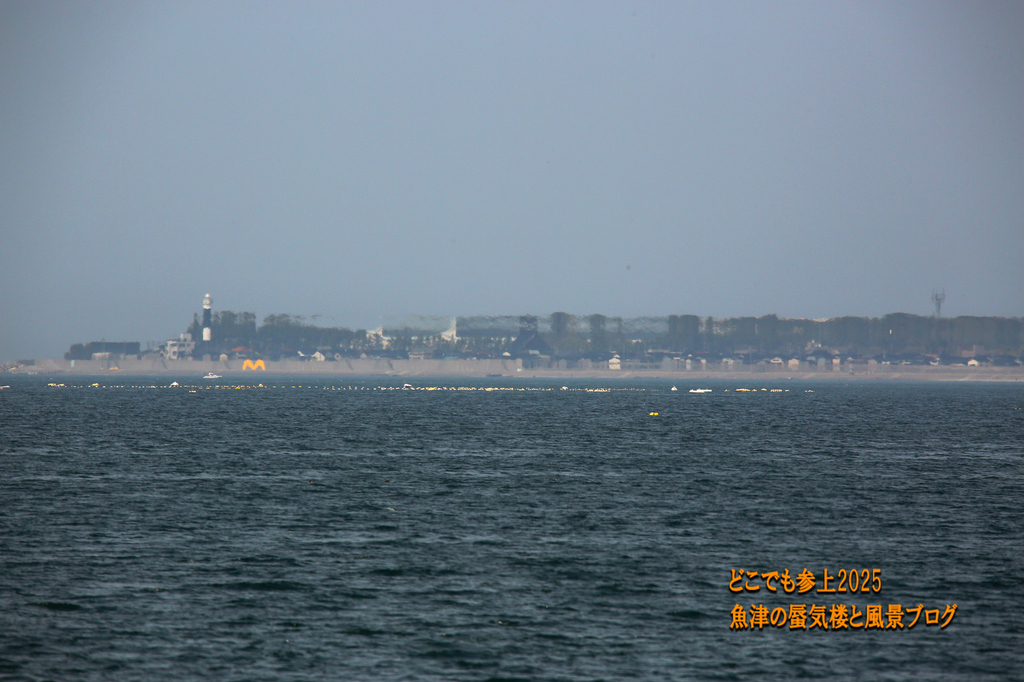 4U8A8085.jpg