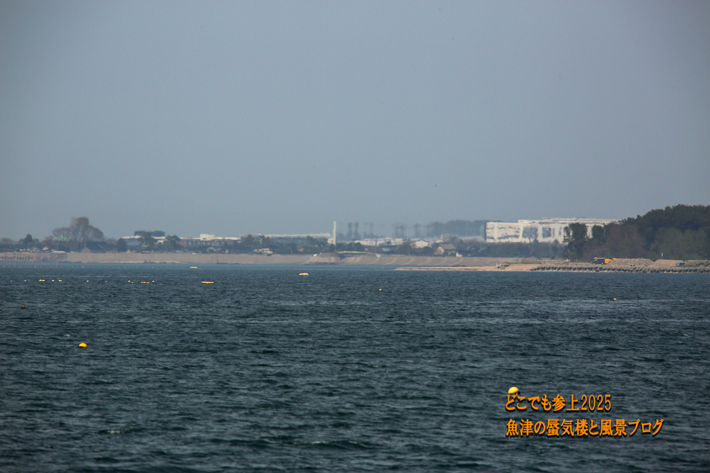 4U8A8098.jpg