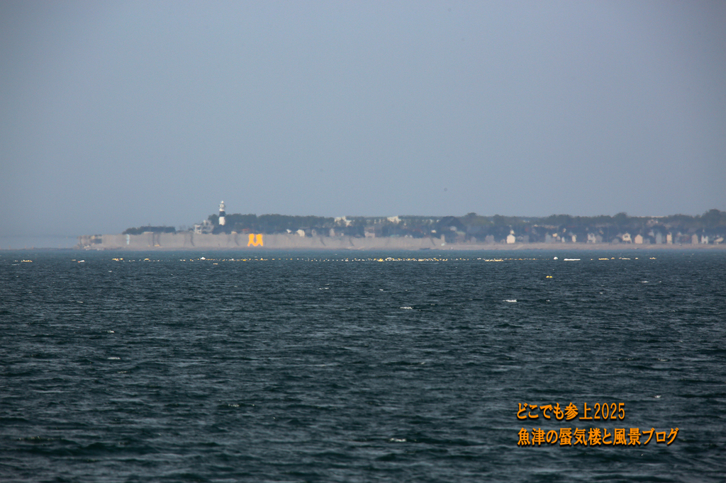 4U8A8153.jpg