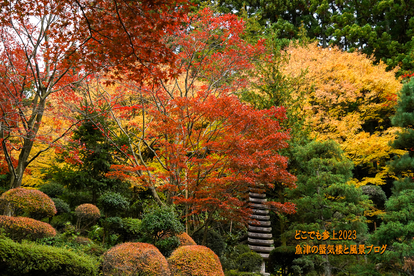 秋には押さえておきたい紅葉スポット！ 朝日町「護国寺