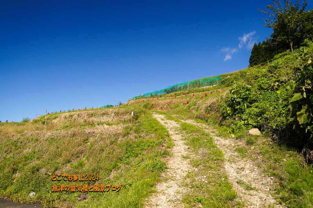 DSC05164.jpg