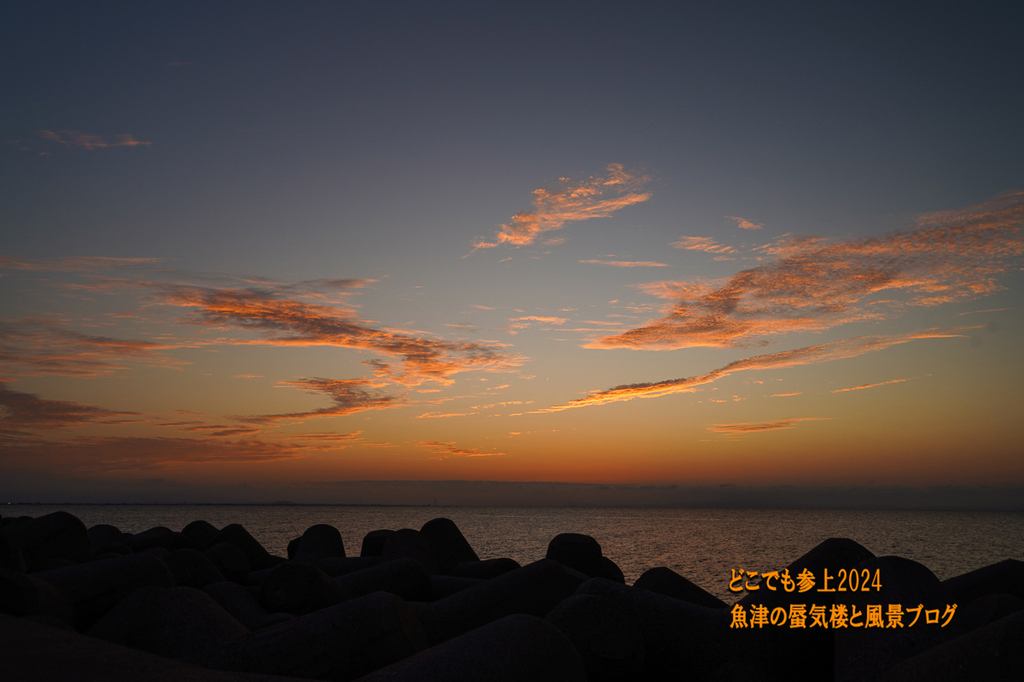 DSC05766.jpg