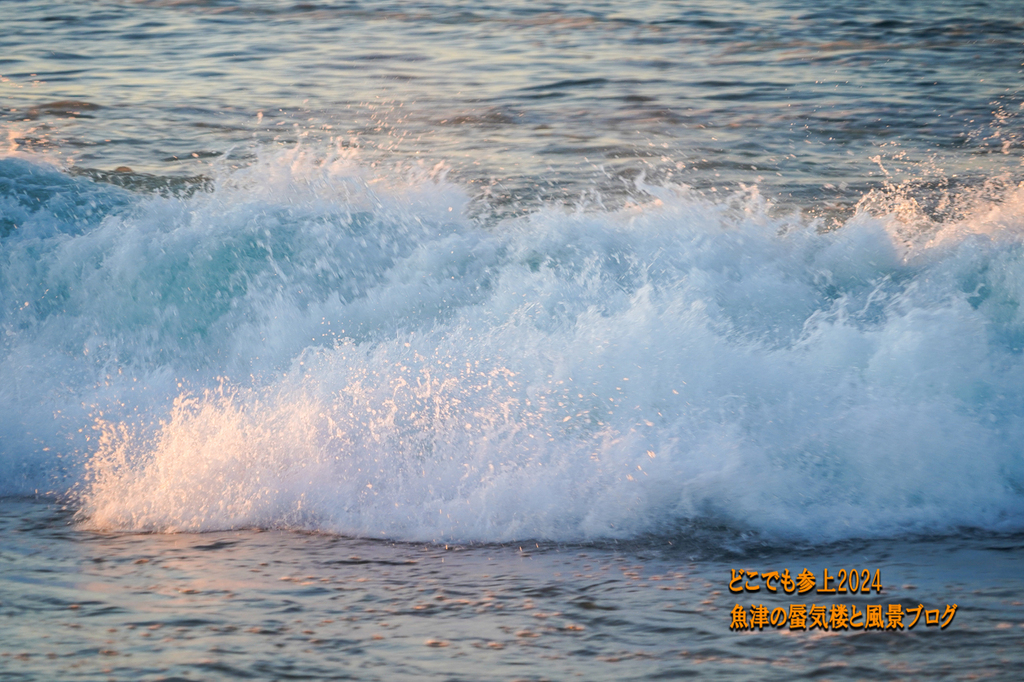 DSC06221.jpg
