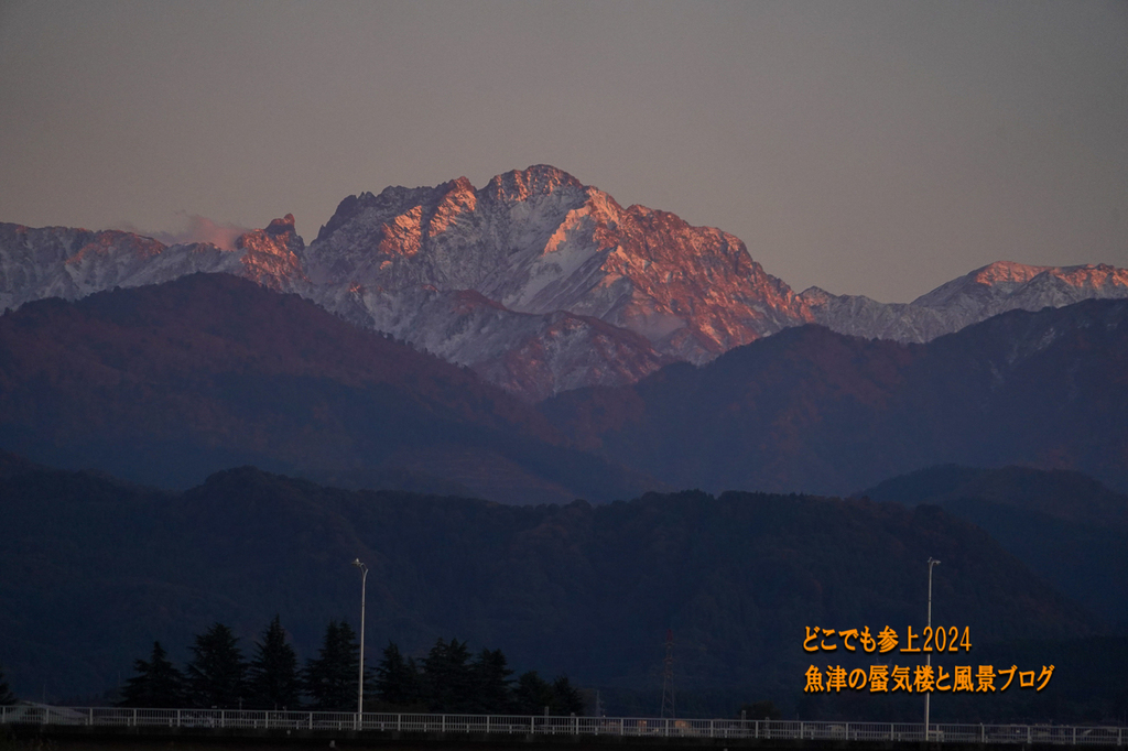 DSC06376.jpg