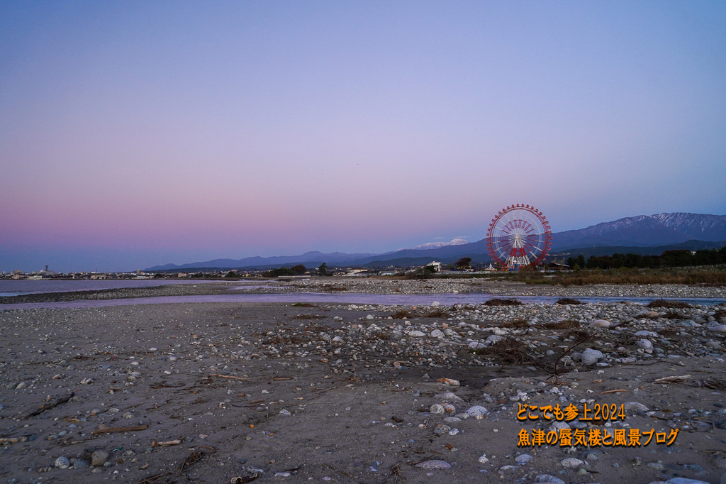 DSC06489.jpg