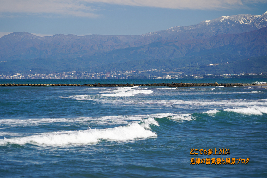 DSC06537.jpg