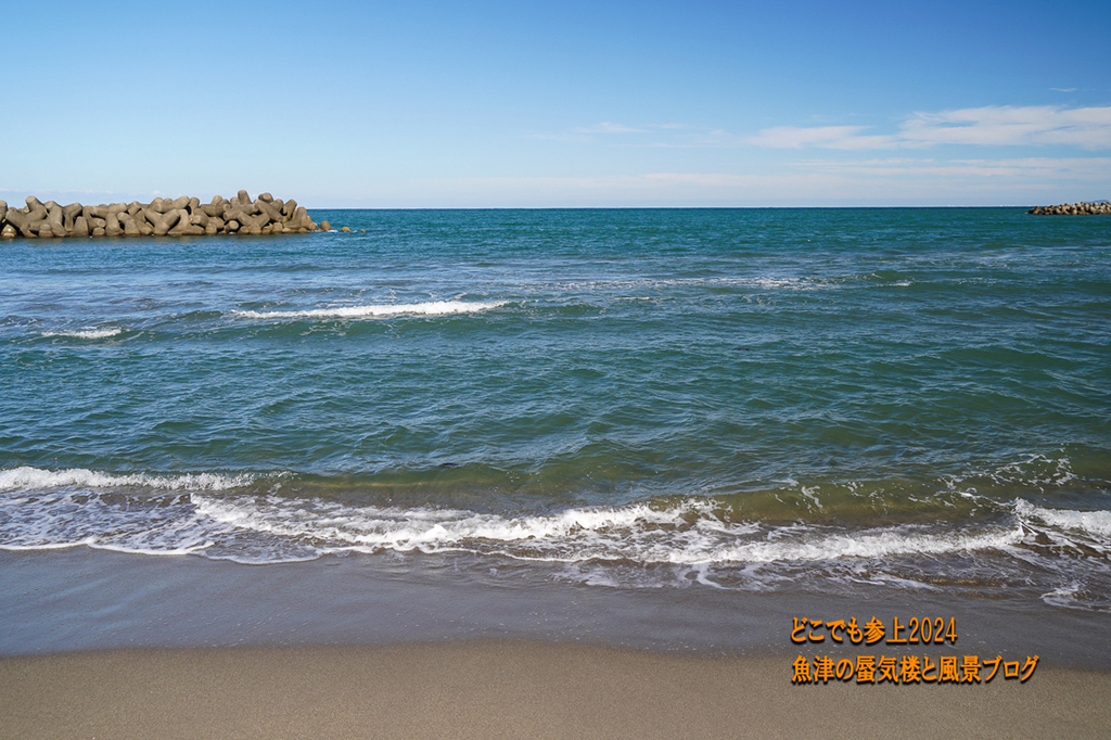 DSC06588.jpg