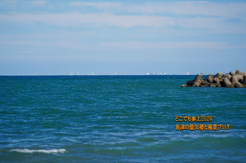 DSC06605.jpg