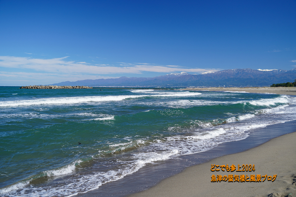 DSC06612.jpg