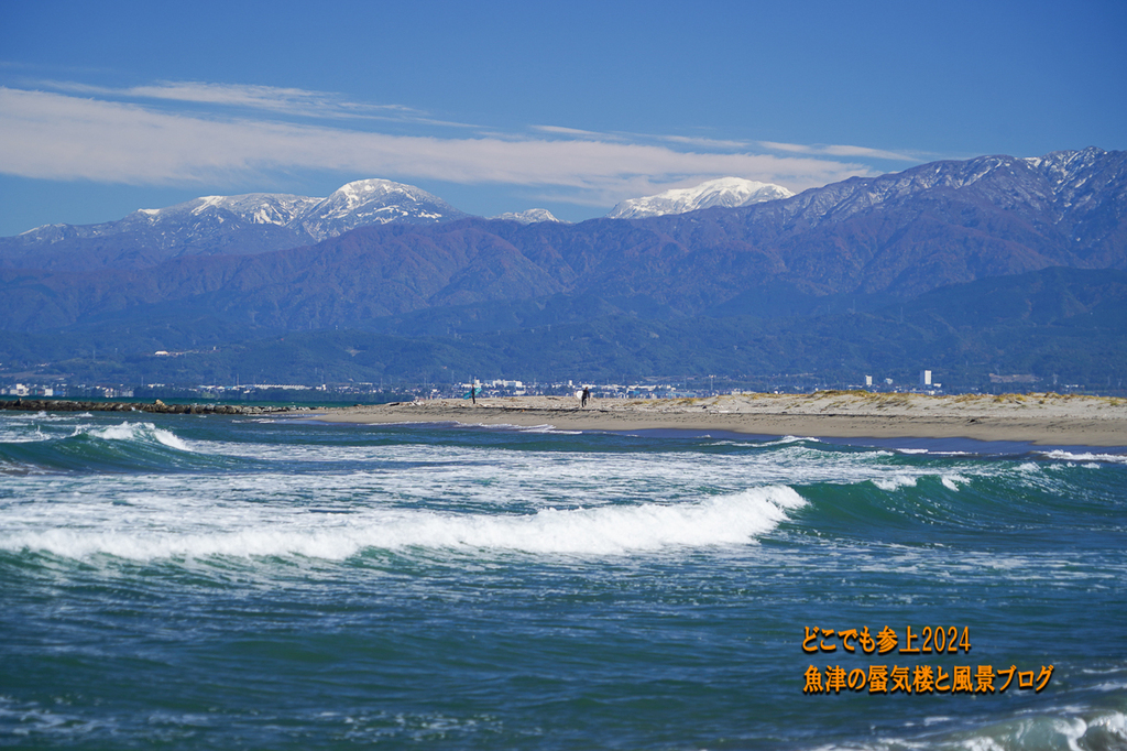 DSC06617.jpg