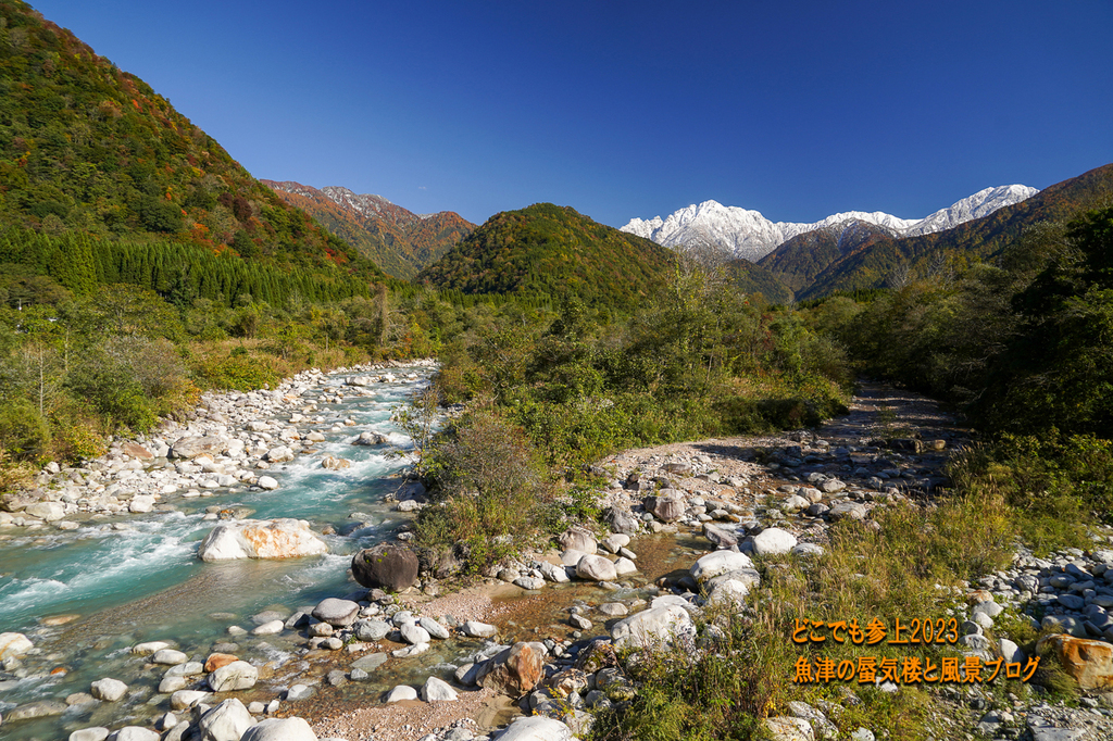 DSC08618.jpg