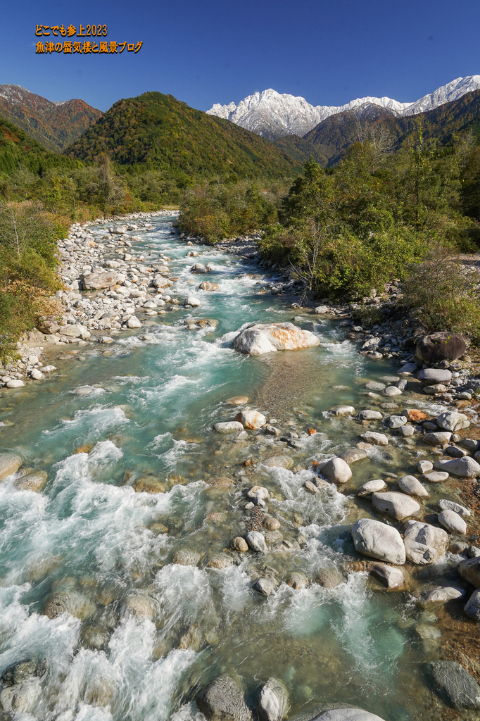 DSC08625.jpg