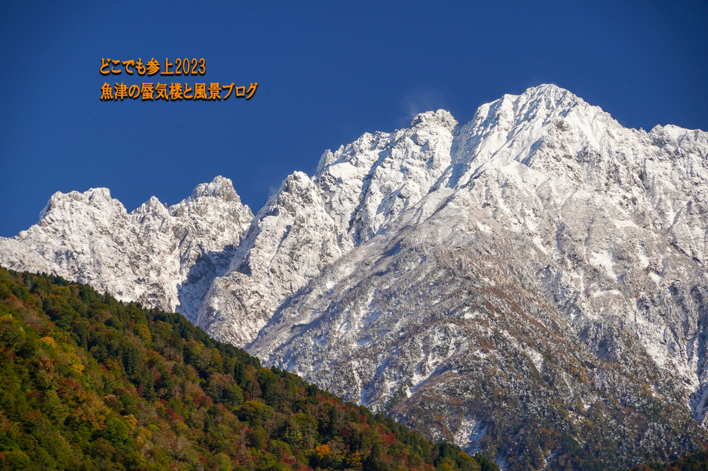 DSC08649.jpg