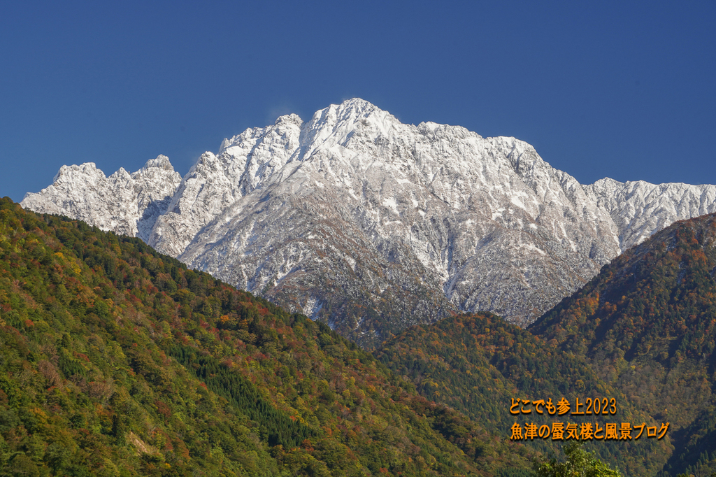 DSC08659.jpg