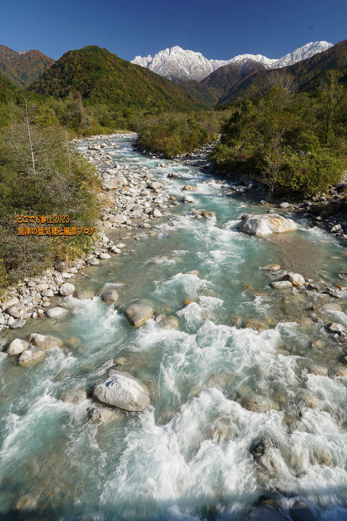 DSC08664.jpg