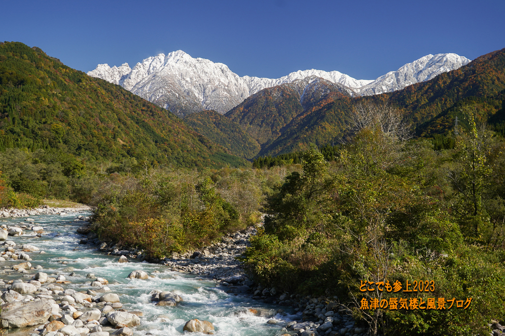 DSC08685.jpg