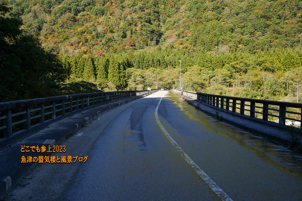 DSC08692.jpg