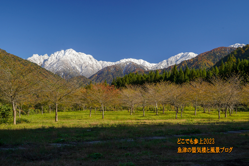 DSC08693.jpg