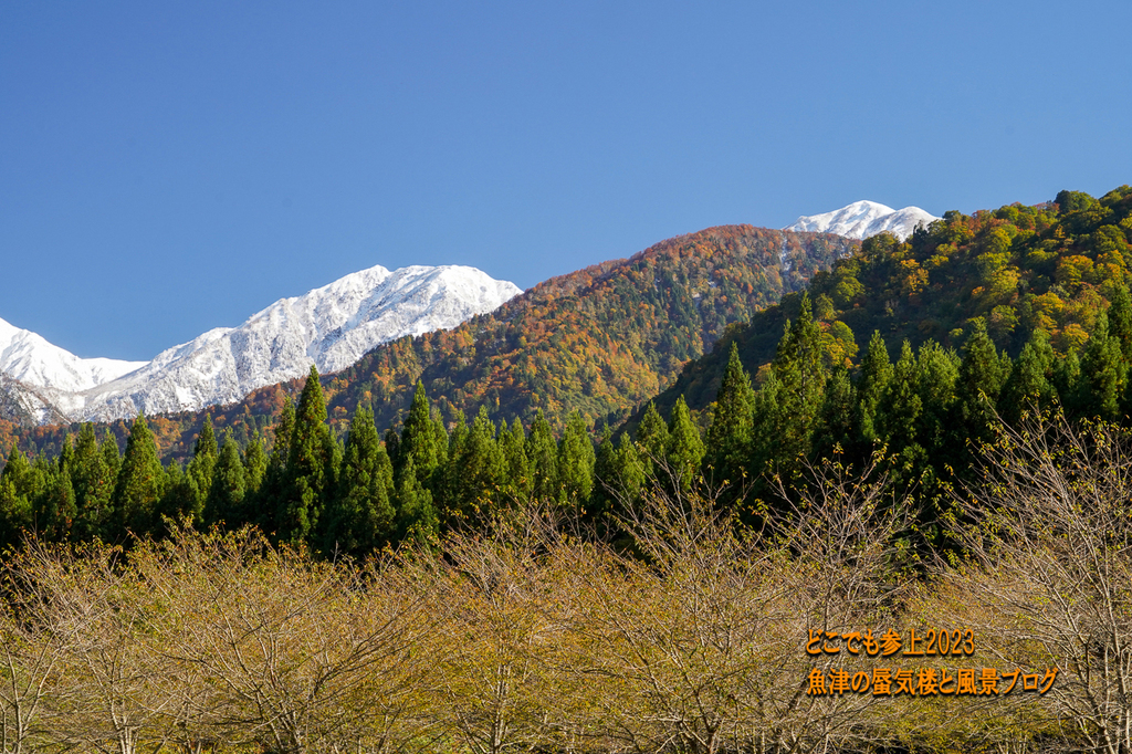 DSC08695.jpg