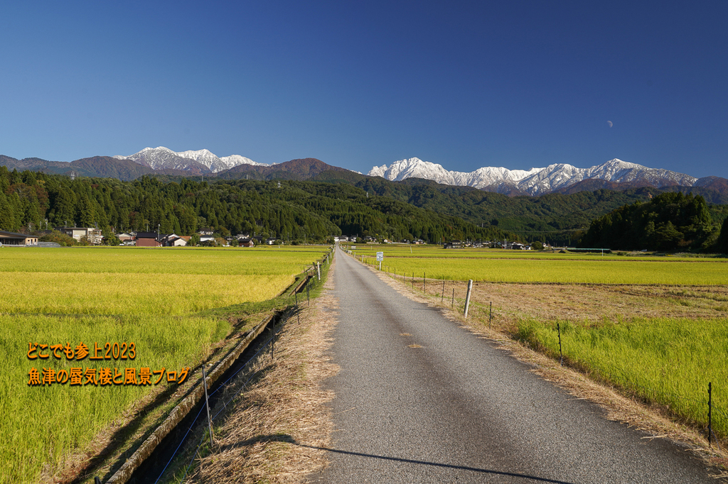 DSC08717.jpg