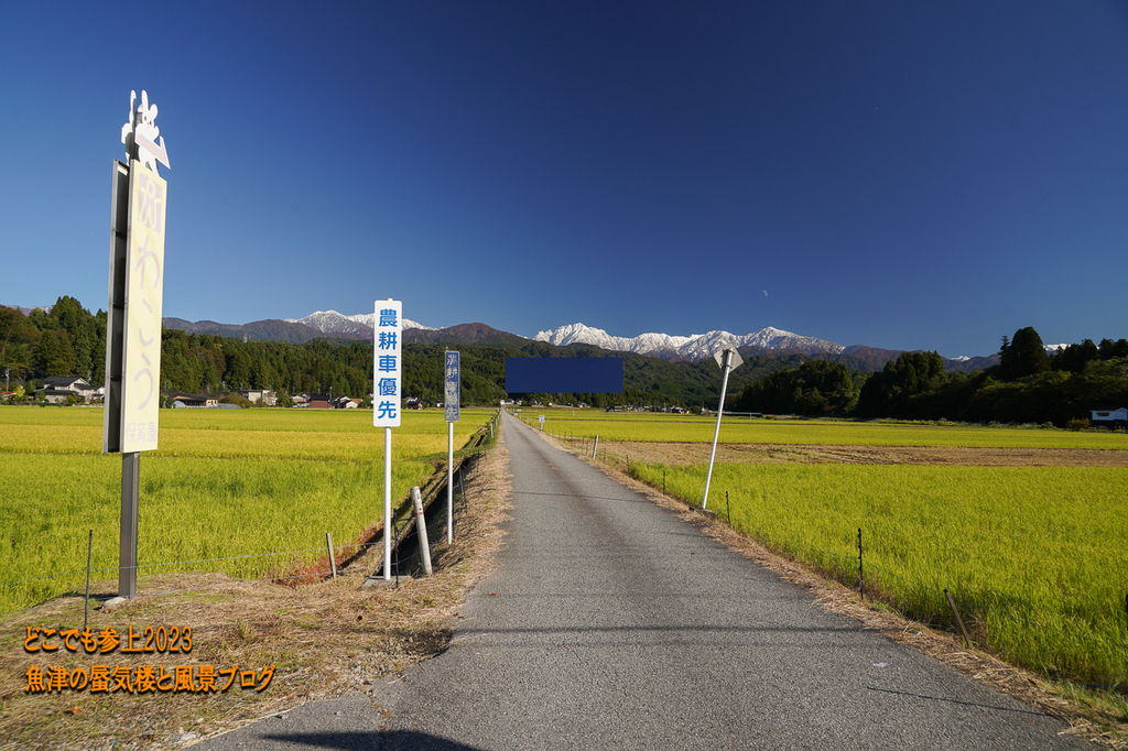 DSC08718.jpg