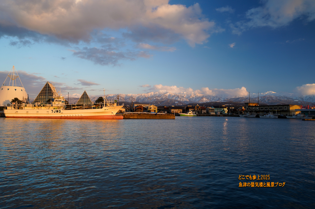 DSC08953.jpg