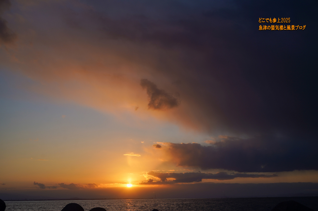DSC08982.jpg