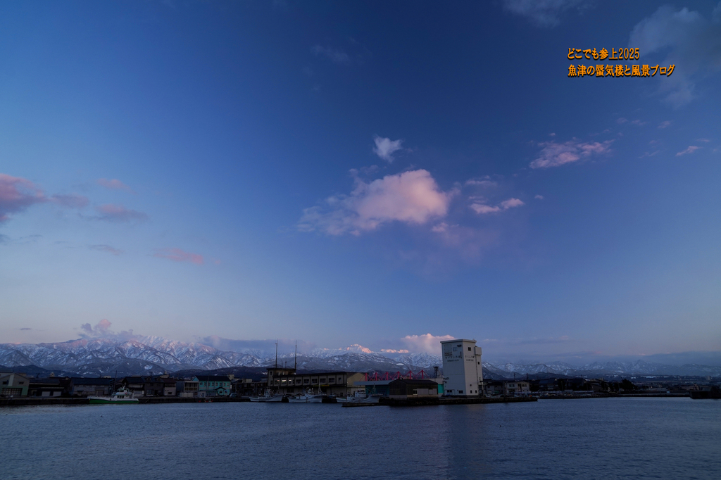 DSC09019.jpg