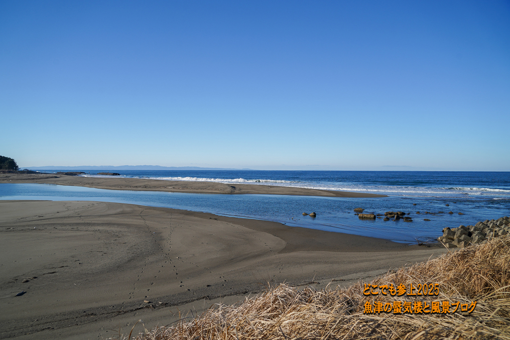 DSC09264.jpg