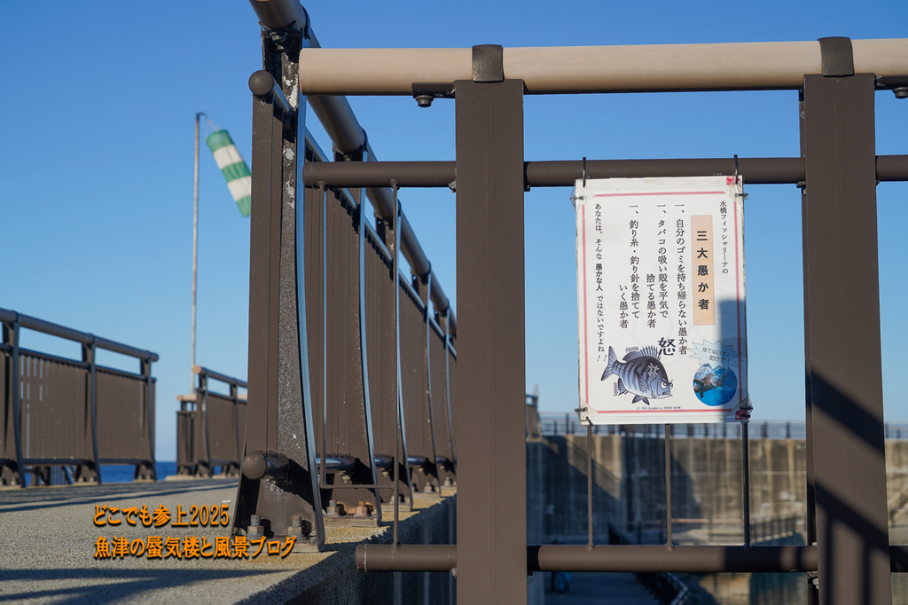 DSC09272.jpg